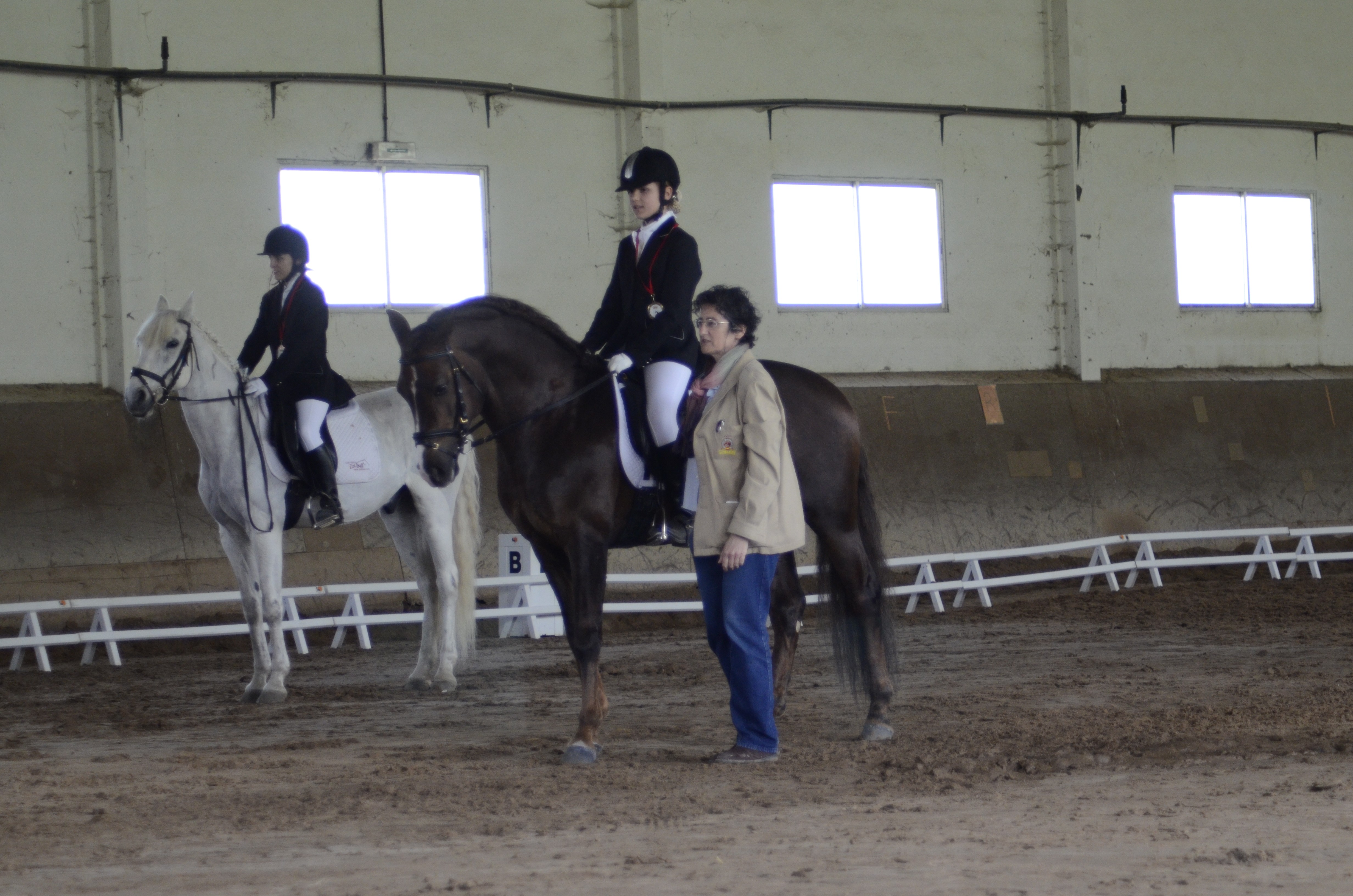 Clasificación 2ª fase Liga Navarra Doma Clásica Niveles 1-5 y JJDD 2014